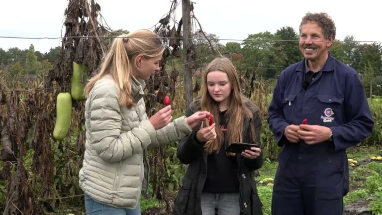 Educatieve Boerderijlessen voor Kinderen: Leren met Natuur en Dieren