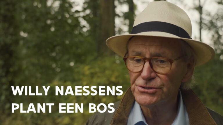 Biodiversiteit van inheemse planten en dieren in het bos